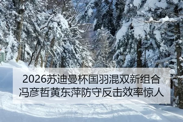 su-di-man-bei-guo-yu-hun-shuang-xin-zu-he-feng-yan-zhe-huang-dong-ping-fang-shou-fan-ji-xiao-lv-jing-ren-2-292.jpg